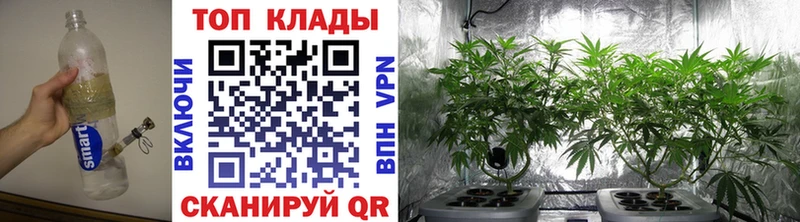 Что такое Козловка МАРИХУАНА  Альфа ПВП  МЕФ  COCAIN 