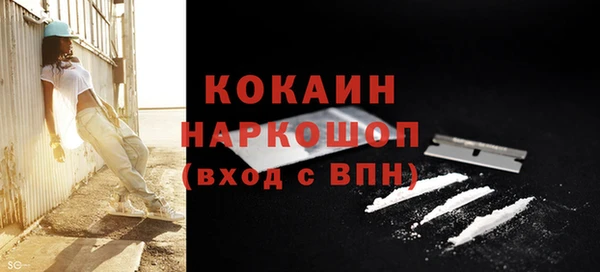 ешки Бронницы