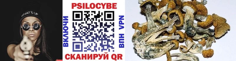 Галлюциногенные грибы Magic Shrooms Козловка