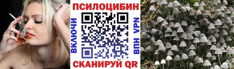 Псилоцибиновые грибы Psilocybe  Козловка 