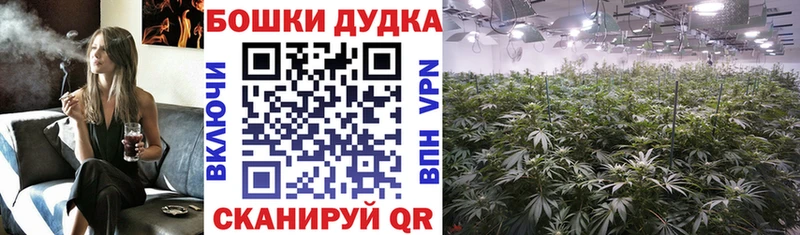 мориарти официальный сайт  Козловка  Каннабис ГИДРОПОН 